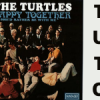 Tuto guitare Happy Together