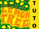Cours de guitare Tuto Lemon Tree