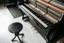 La révolution de la location d&rsquo;instruments  comment le piano mène la danse
